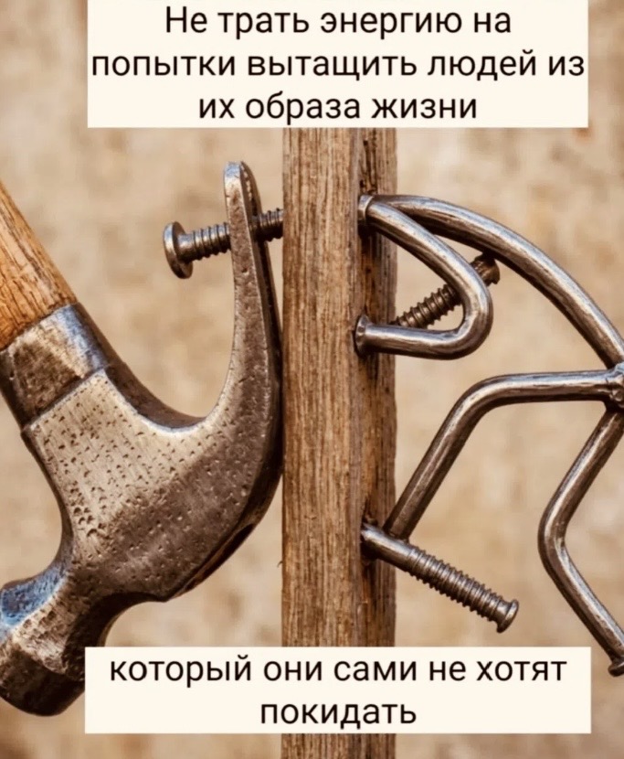 IMG_5522.jpeg