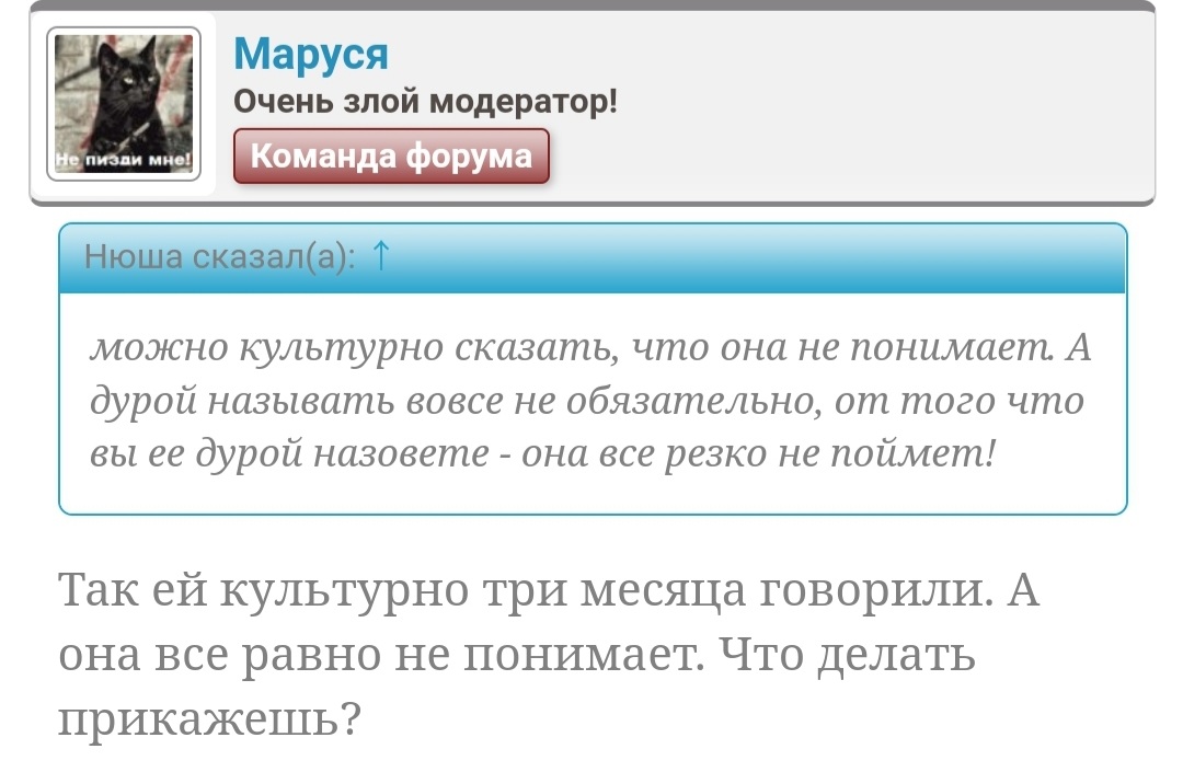 Screenshot_20231113-161348_Yandex.jpg