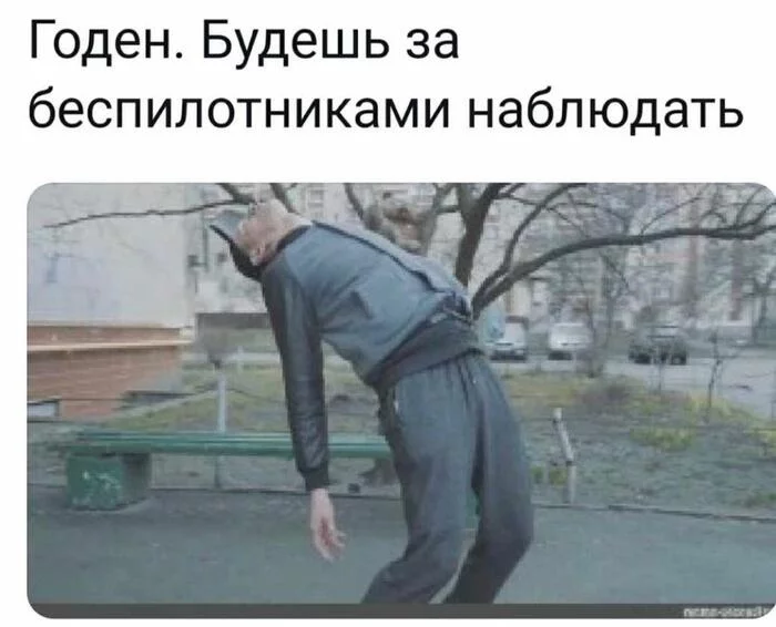 webm-гифки-США-страны-5124556.png