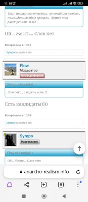 Screenshot_2022-11-30-11-18-47-841_com.yandex.browser.jpg