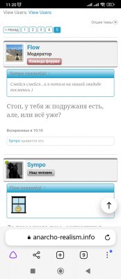 Screenshot_2022-11-30-11-20-07-667_com.yandex.browser.jpg