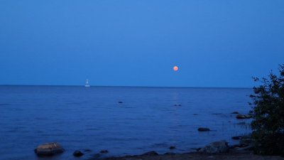 IMG_20240823_124826_973.jpg