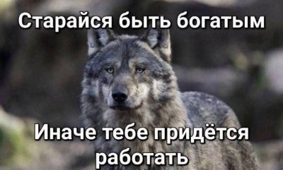 BT3Qj-JXw-c.jpg BT3Qj-JXw-c.jpg