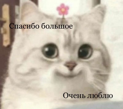 IMG_6578.jpeg