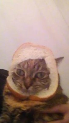 IMG_6579.jpeg