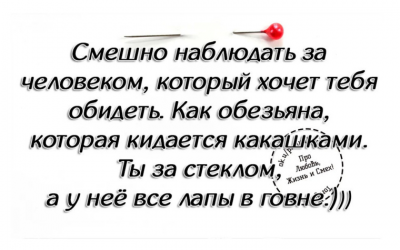IMG_1432.png