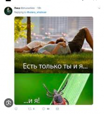 Screenshot_20250503-110550~2.png