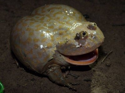 5c0d49ad01ae713f5df98e87b29fc37e.jpg