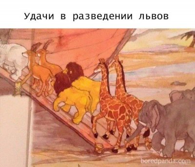tcfdqMtfH6ENONidxaxMcwG4mkcpOL4-0gSTEE6LzVj4fqLUM1QUXQcwHdvr9tNlJ71Jc0xalYezDySNUgX-7Pi1.jpg