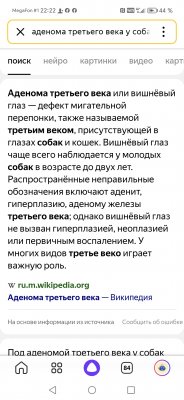 Screenshot_20250520_222223.jpg