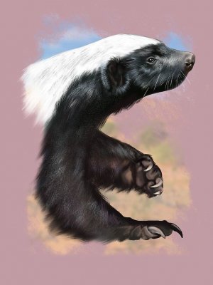 a69f30c738a123c0faad3897c45c9def.jpg