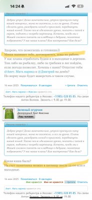 IMG_7726.jpeg