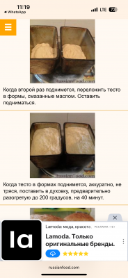 IMG_2329.png