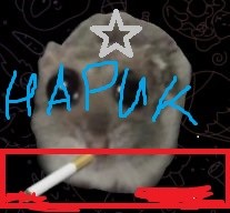 мышка.jpg