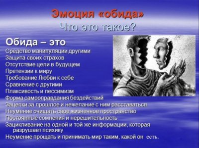 IMG_4265.jpeg