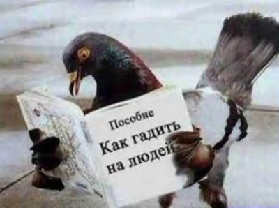 i (11).jpeg