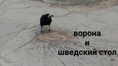 i (10).jpeg