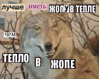 92eef741c2023dd1f2fa623d3939c719.jpg